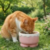 S30ebbc097a0e4a85a0e4cf3d2642da75r.webp Non-Slip Ceramic Pet Bowl Anti-Spilling Guarded Neck Anti-Overturning Bowl Large Capacity Slow Feeder Bowl Dog Drinking