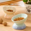 S9635ae8350944598b47bed14fe944ce8H.webp Ceramic Cat Bowl Pet Accessories Drink Water Bowl Diagonal High Feet Cute Protection Cervical Spine Cat Bowl Pet Supplies