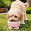 Sd8f7695952b94fec84d4a0304262850eb.webp Non-Slip Ceramic Pet Bowl Anti-Spilling Guarded Neck Anti-Overturning Bowl Large Capacity Slow Feeder Bowl Dog Drinking